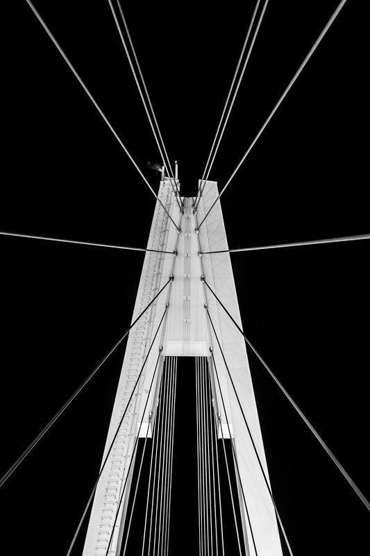 Струны фото превью