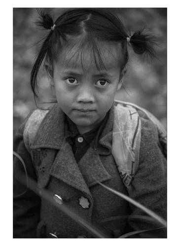 Rice&Icon of Vietnam