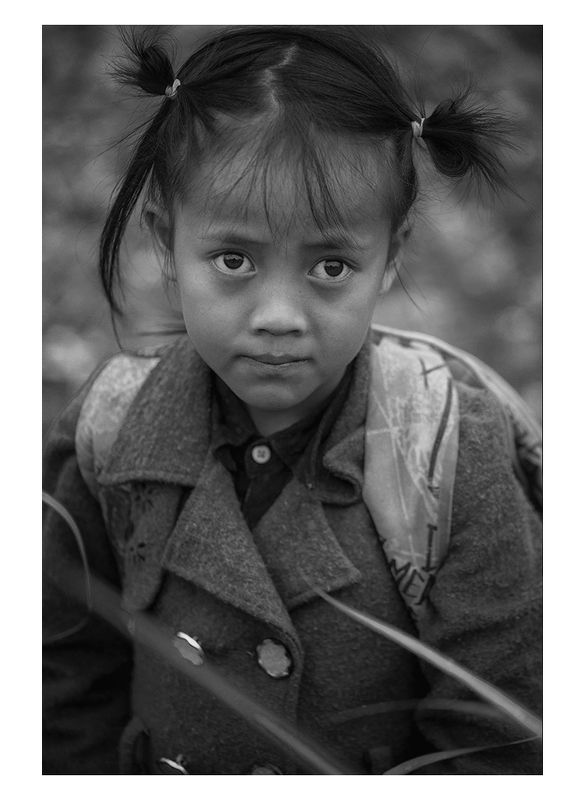 рис, вьетнам, образ, люди, терраса, фотопроект, фототур, выставка, фильм, art Rice&Icon of Vietnam фото превью