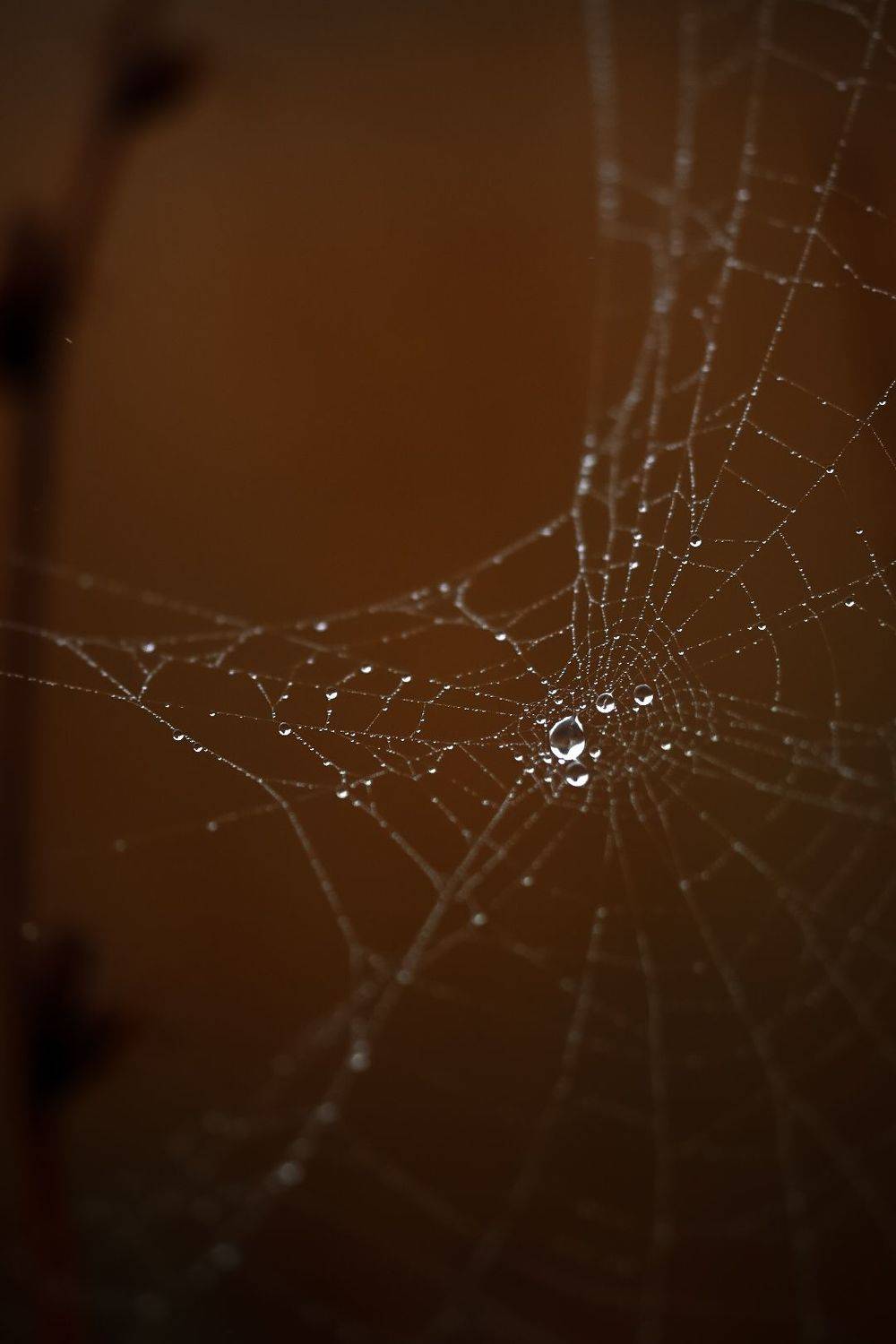 , Татьяна Винничук