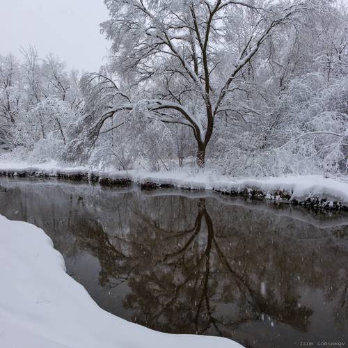 На берегах Яузы после снегопада