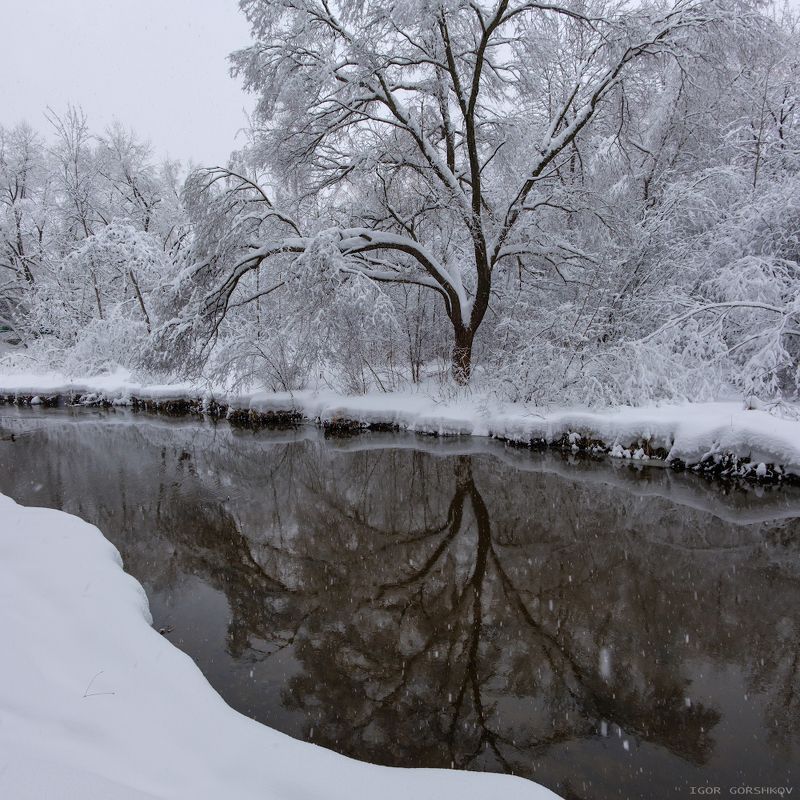 москва,яуза,парк,река,снег,зима,пейзаж,снегопад,деревья,природа На берегах Яузы после снегопада фото превью