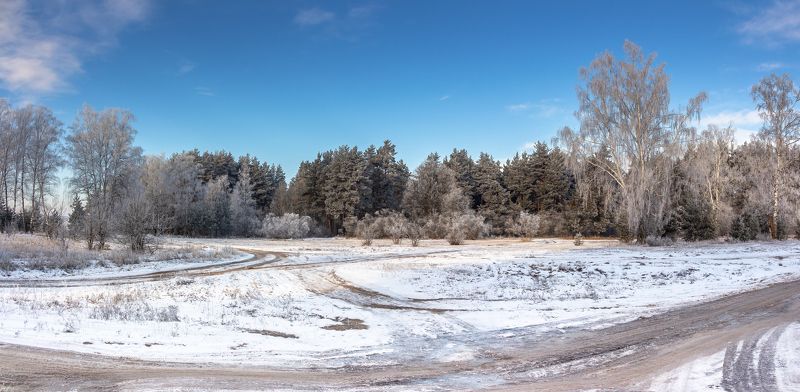 лес, зима, мороз, иней, природа  фото превью