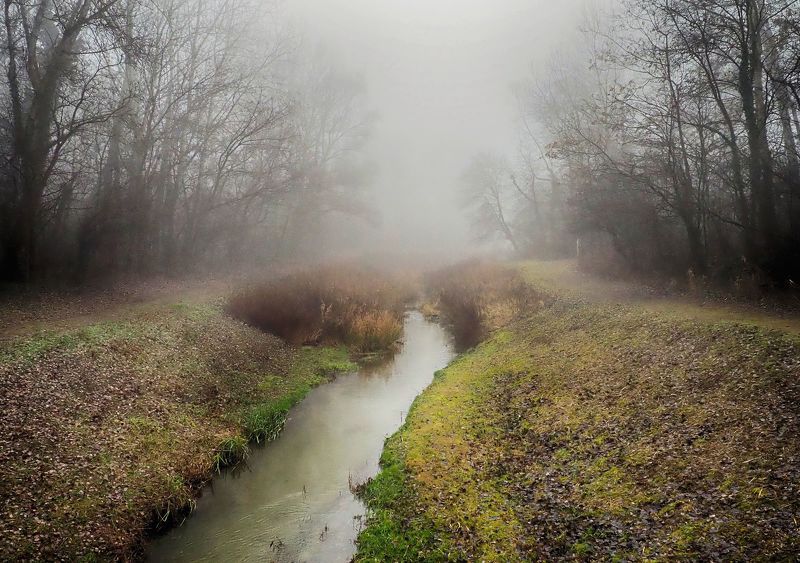 Foggy creek фото превью