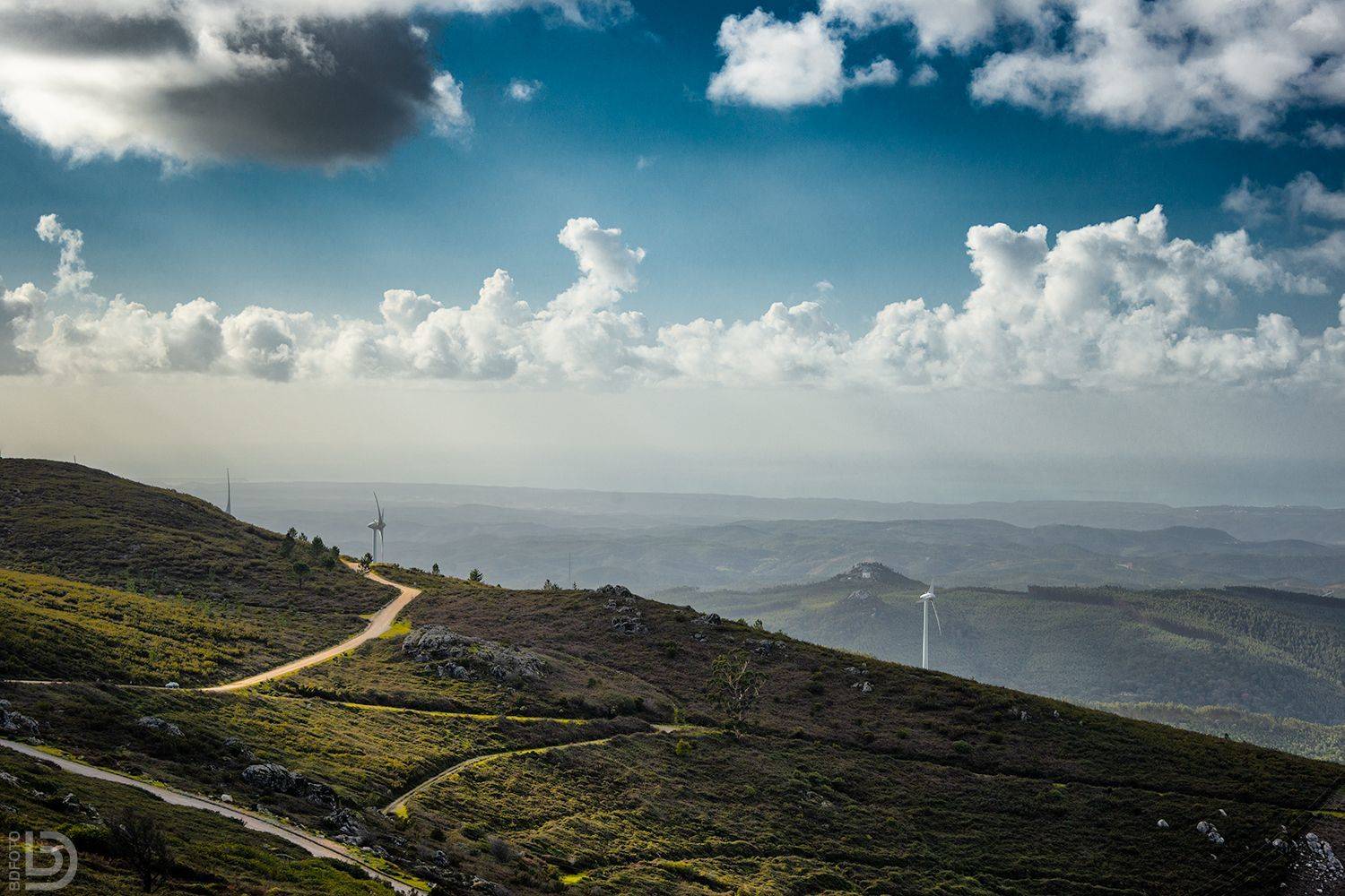 portugal, foia, Дмитрий Бакулин