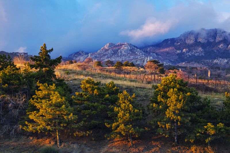 ***** фото превью