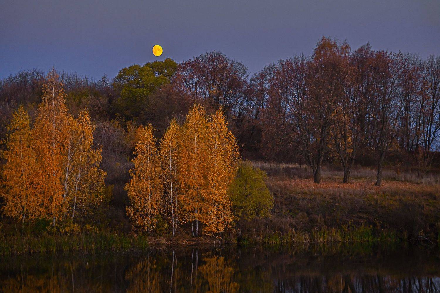 октябрь, осень, восход луны,, Николай Бологов