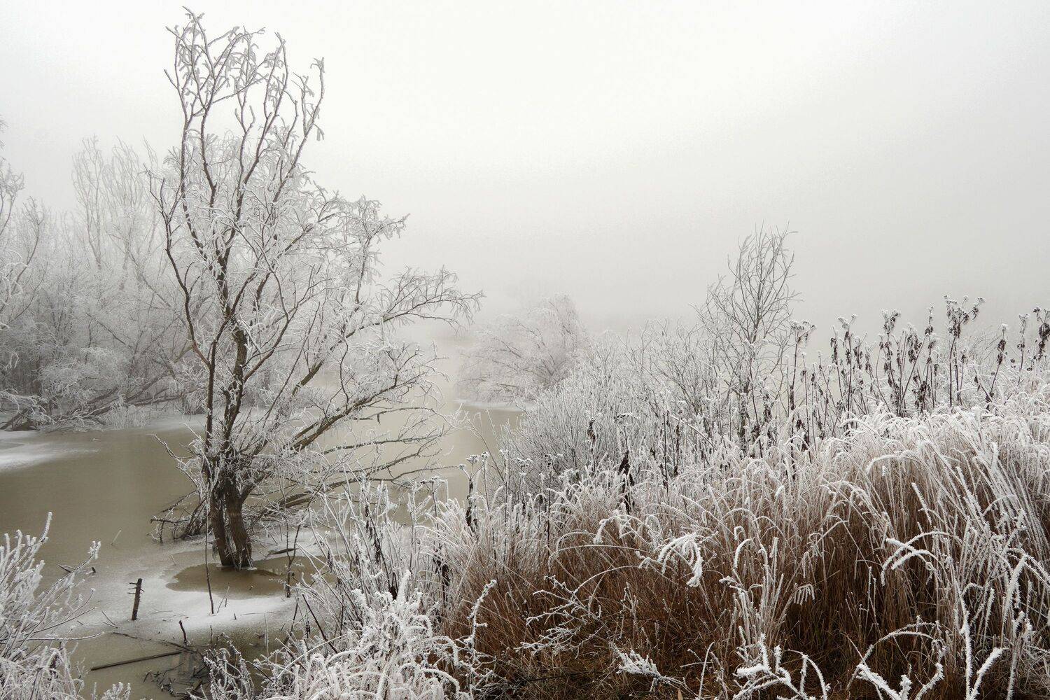 , Вадим Коваленко
