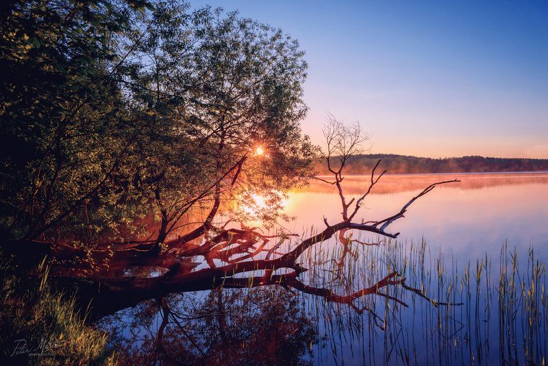 Весной на Вяче фото превью