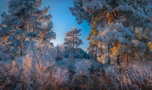 Иней на закате