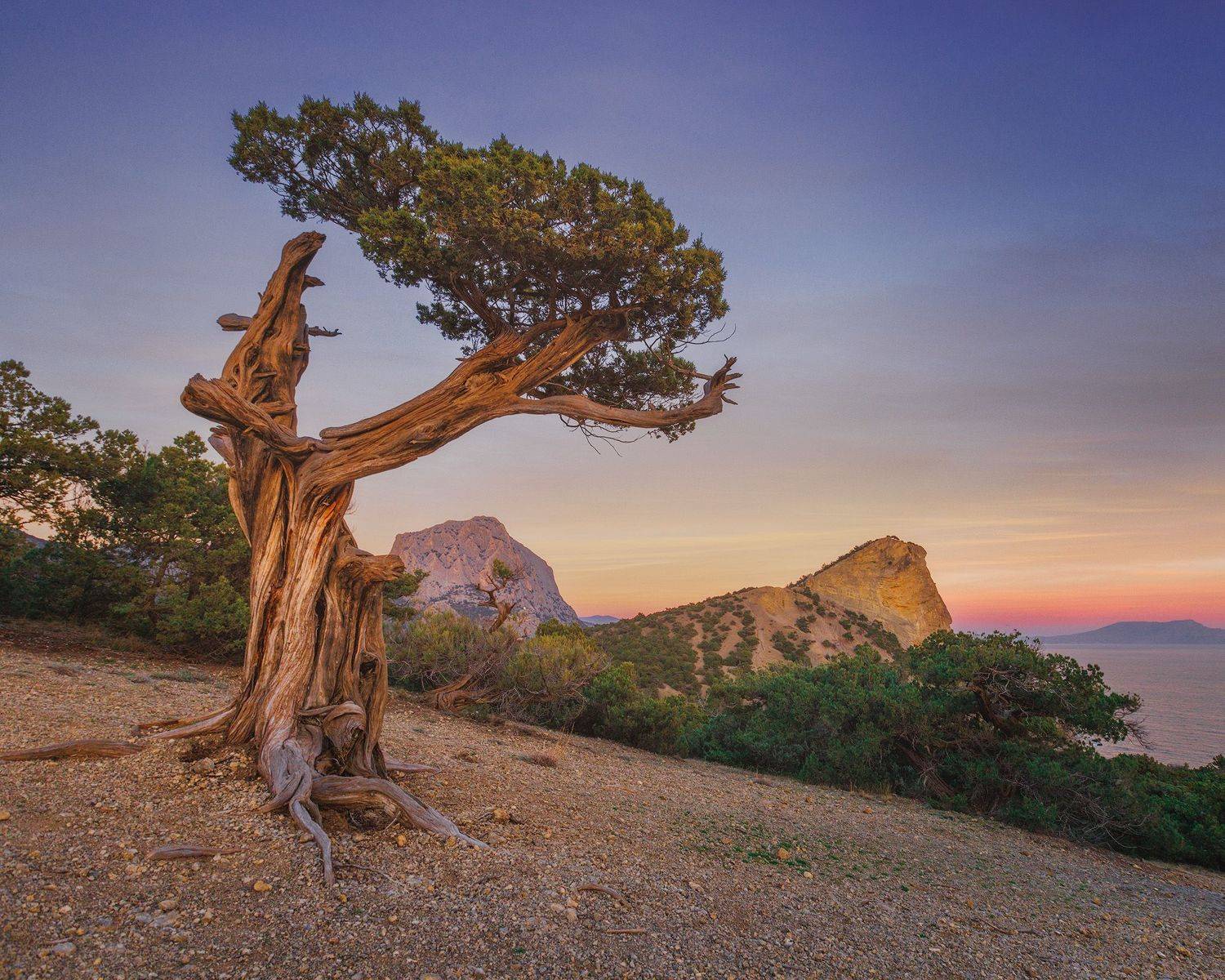 , Костенко Александр