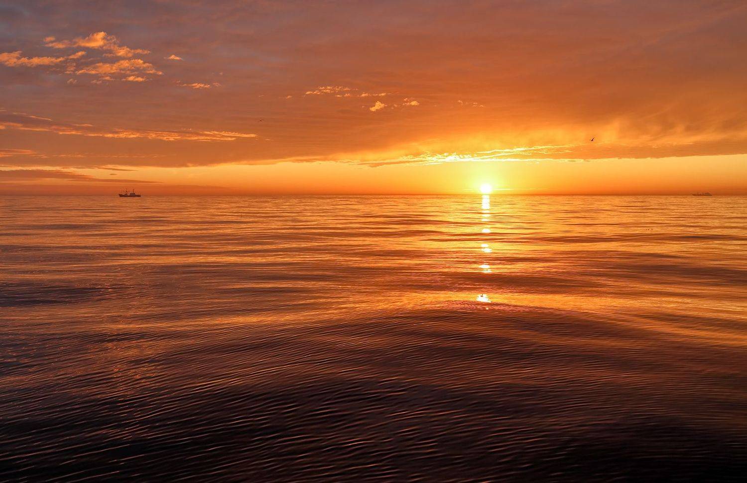 вечер, закат, судно, чайка, штиль, охотское море, Евгений Паршуков
