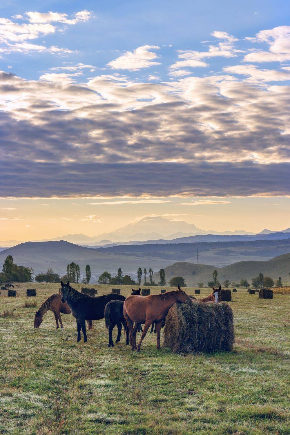 , Юлия Мальцева