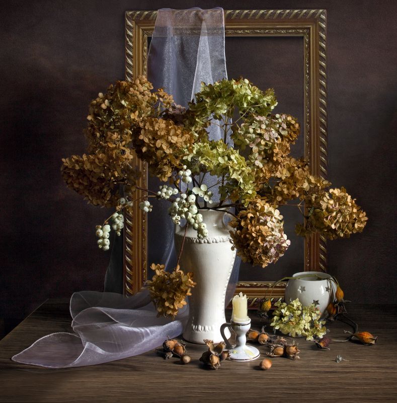 Гортензия фото превью