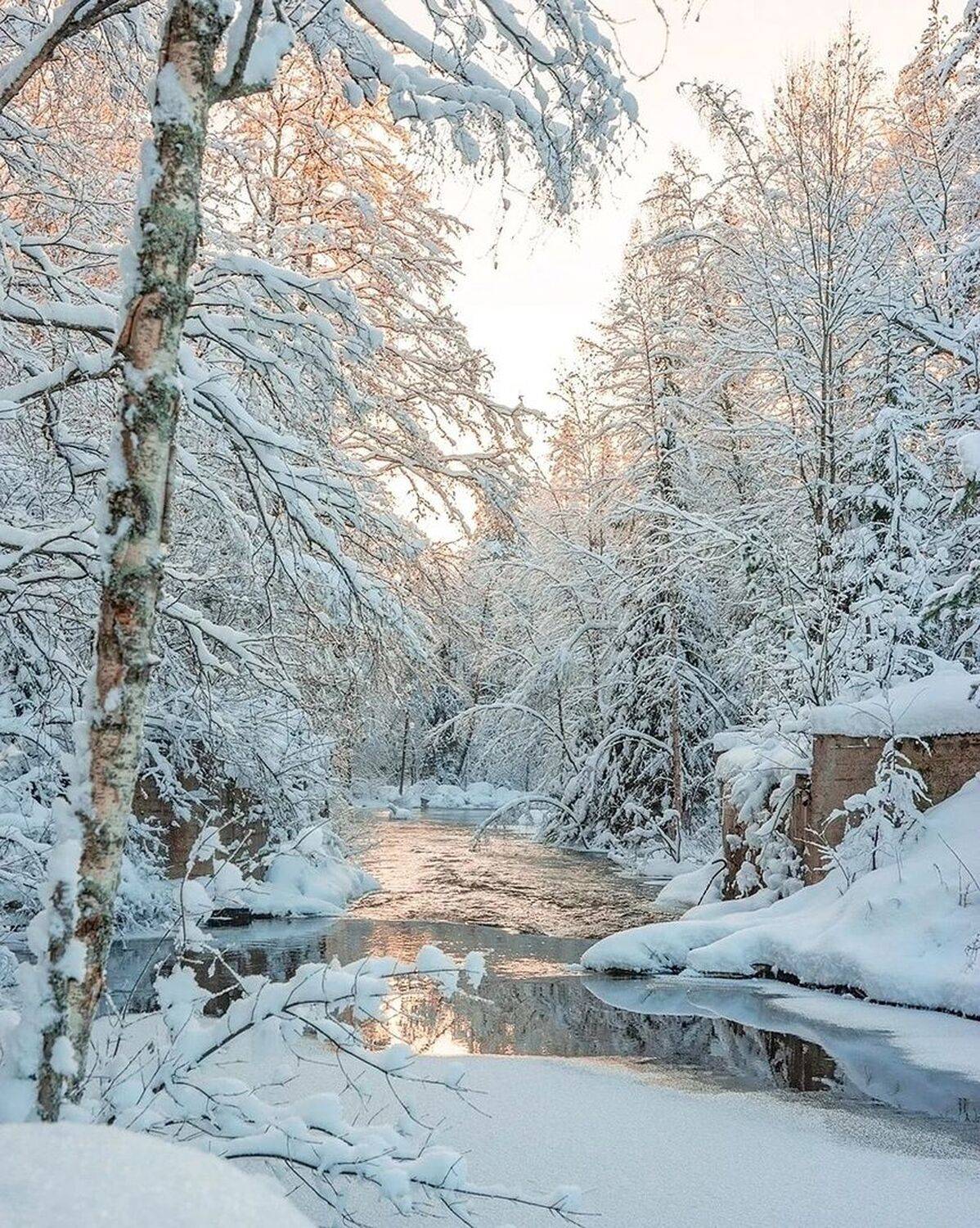 , Петр Косых