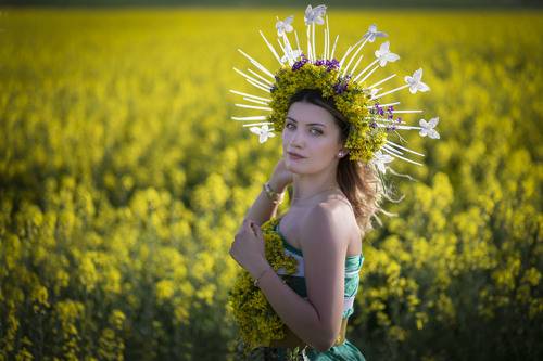 Yellow Fields