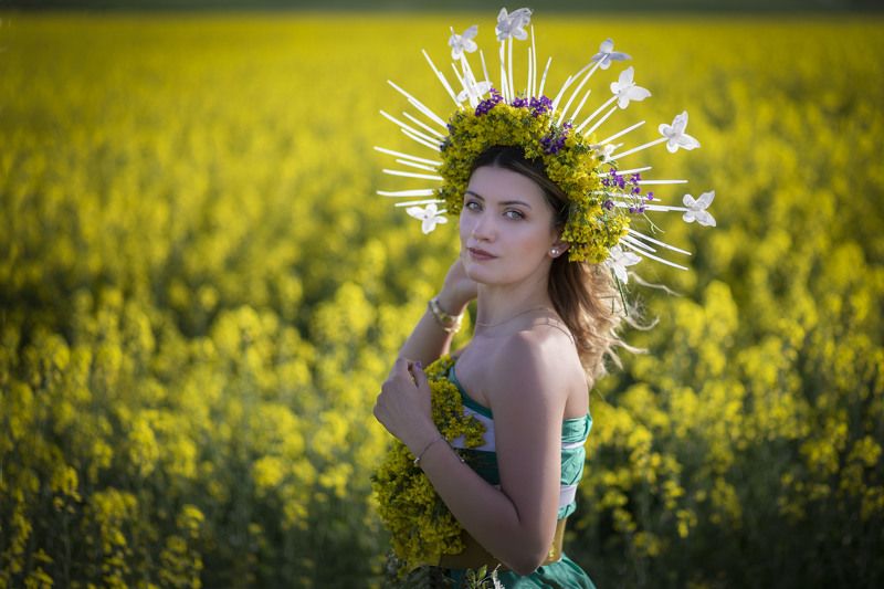 portrait Yellow Fields фото превью