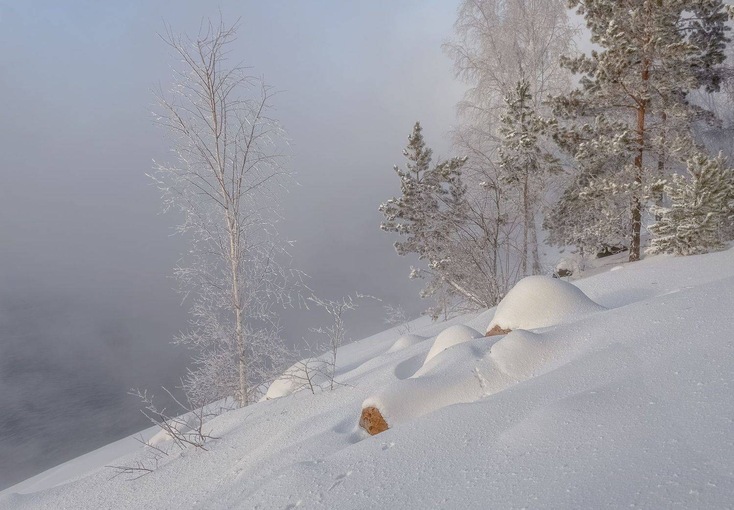 зима, мороз, сибирь, иней, туман, Фомина Марина