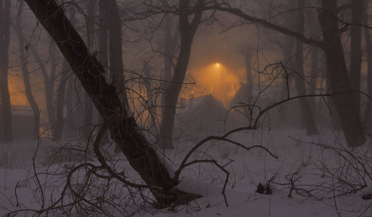 зима туман лес ночь, Александр Жарников
