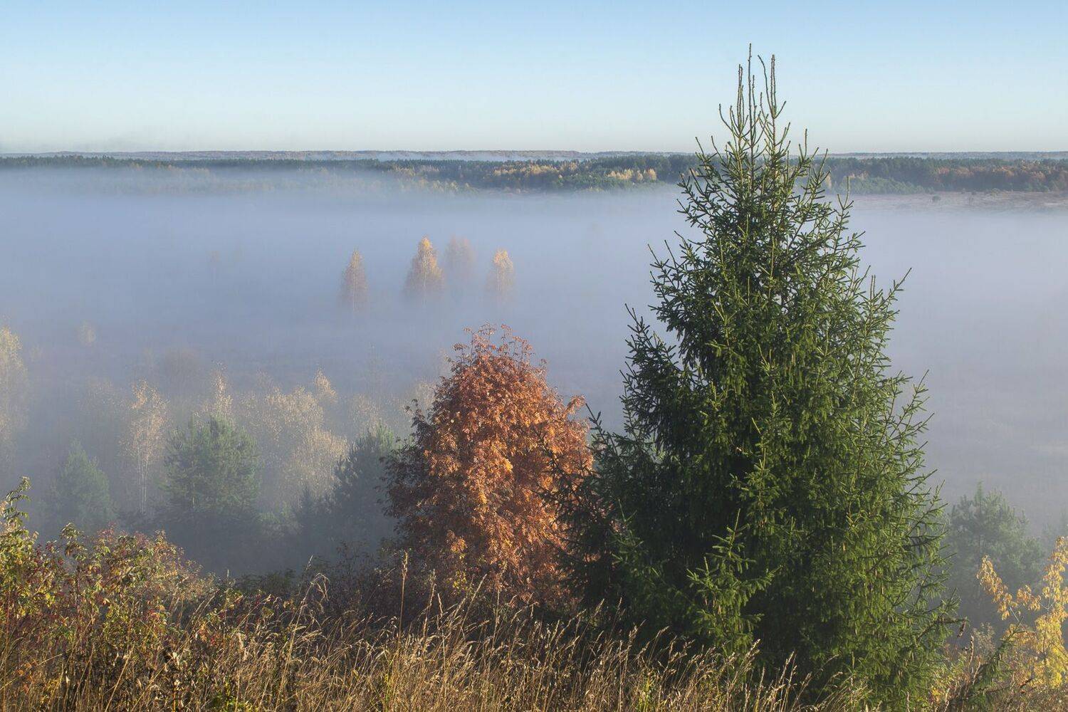 , Галина Луценко