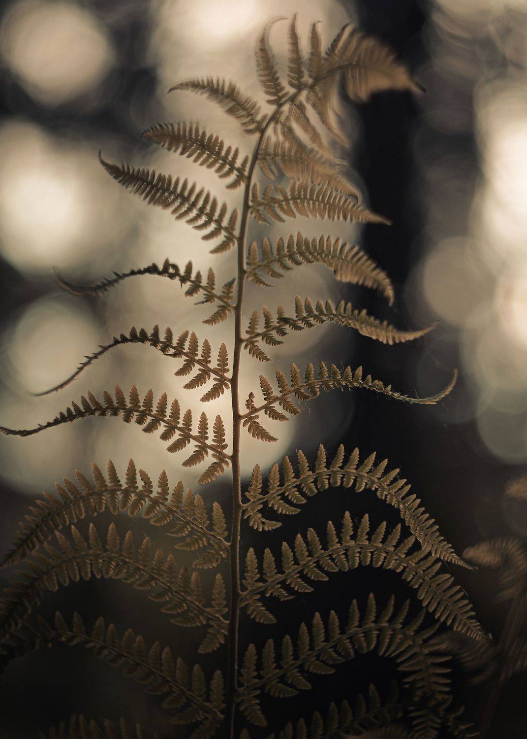 , Александр Вайсберг