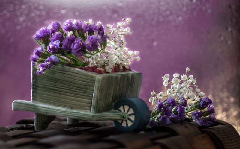 натюрморт,цветы,этюд, тачка,ваза,боке,сиреневое, Доставка фото превью