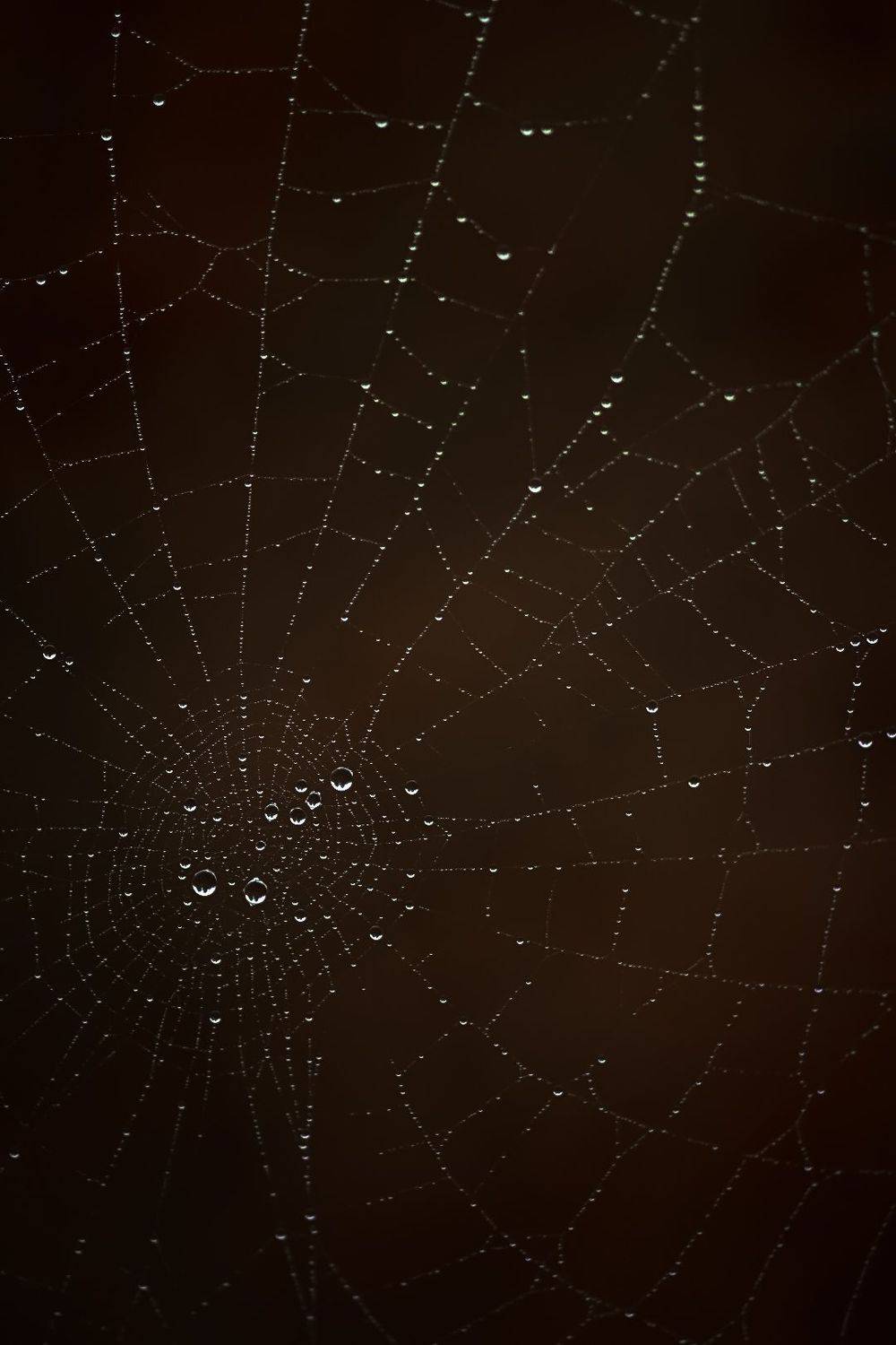 , Татьяна Винничук