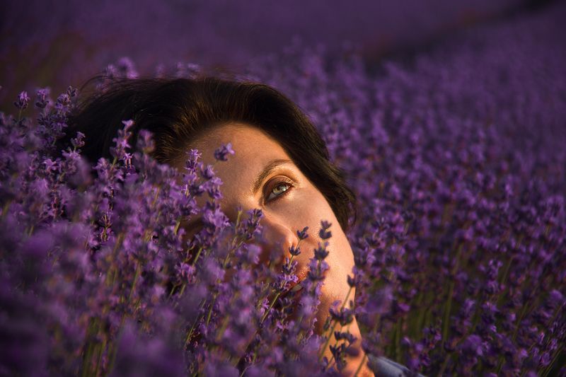 Лавандовое море  фото превью