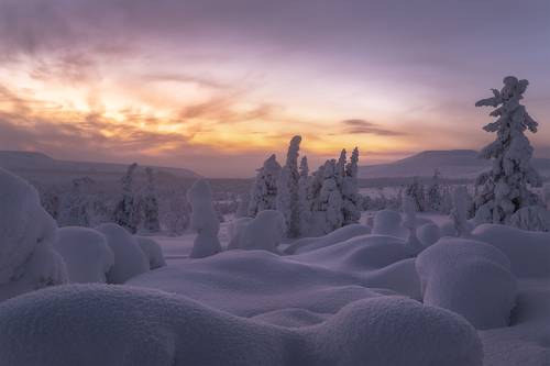 Зарево рассвета