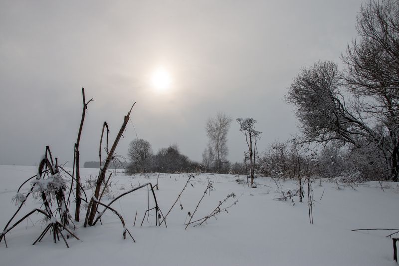 Серость фото превью