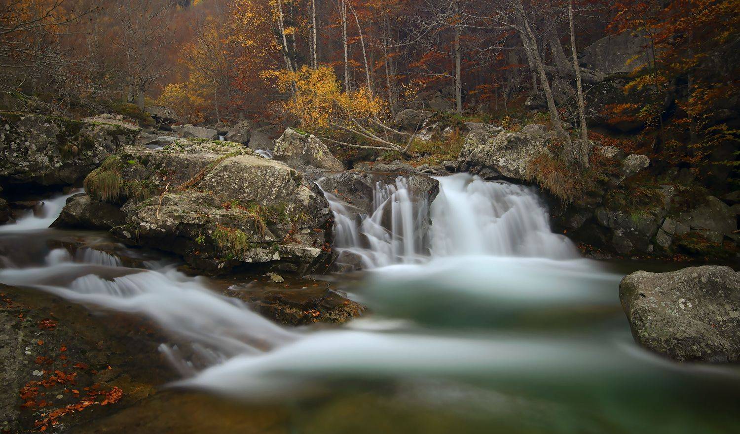 espa&ntilde;a pirineos oto&ntilde;o, Blanco Emilio