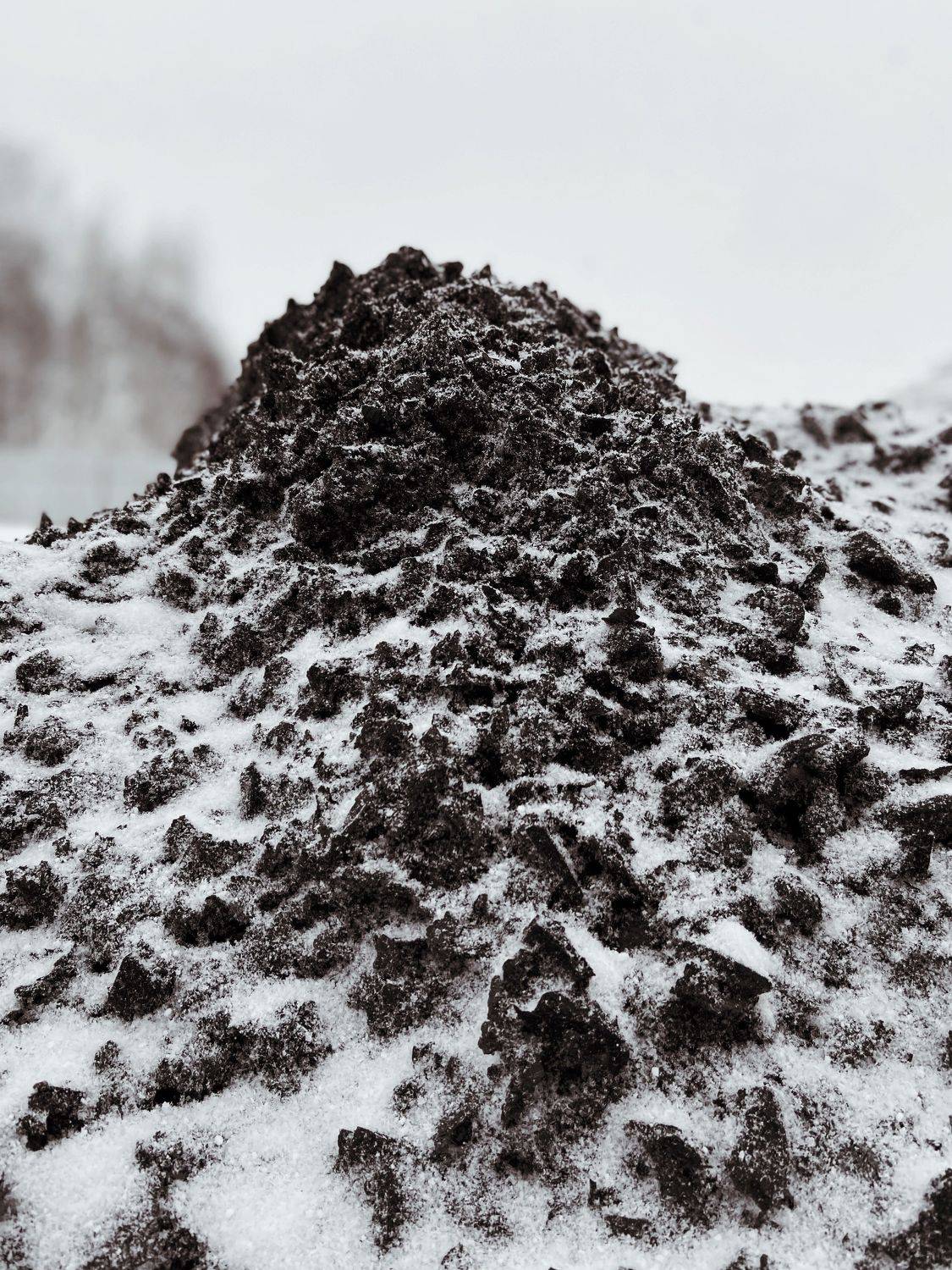 pavelskvortsov, Pavel Skvortsov