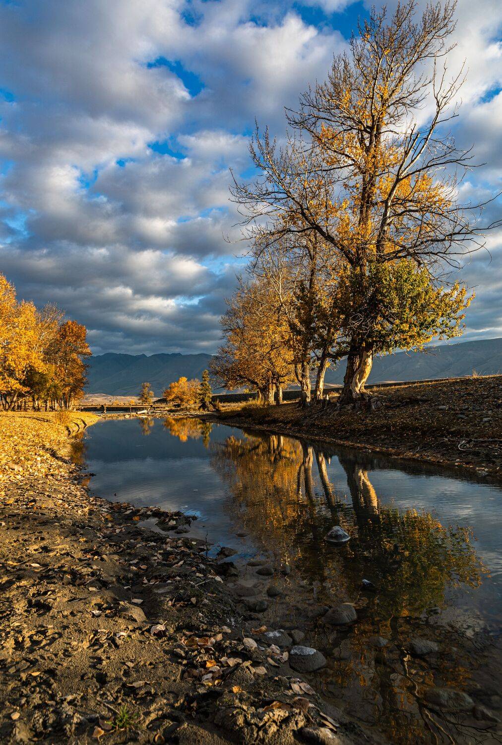 алтай, Сергей