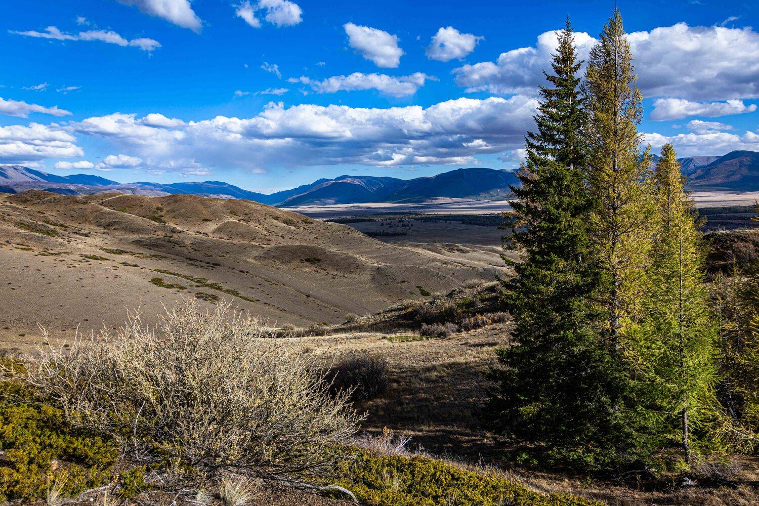 алтай, Сергей