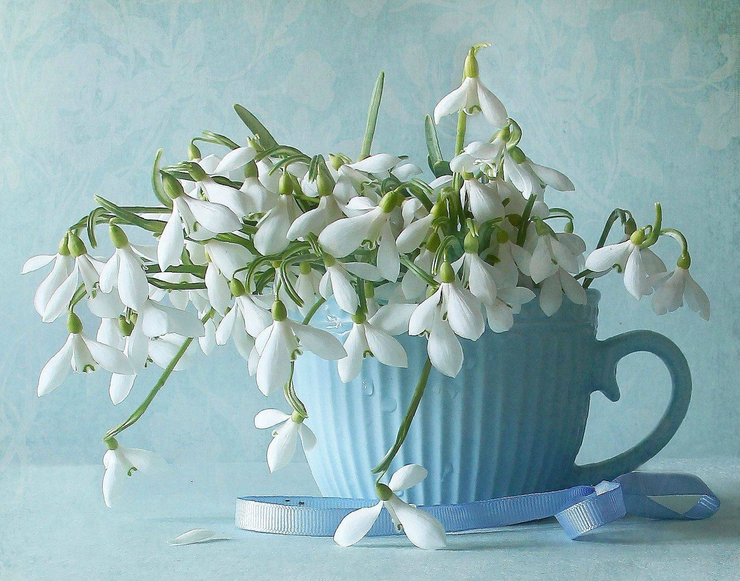 натюрморт, цветы, подснежники, весна, марина филатова, Марина Филатова