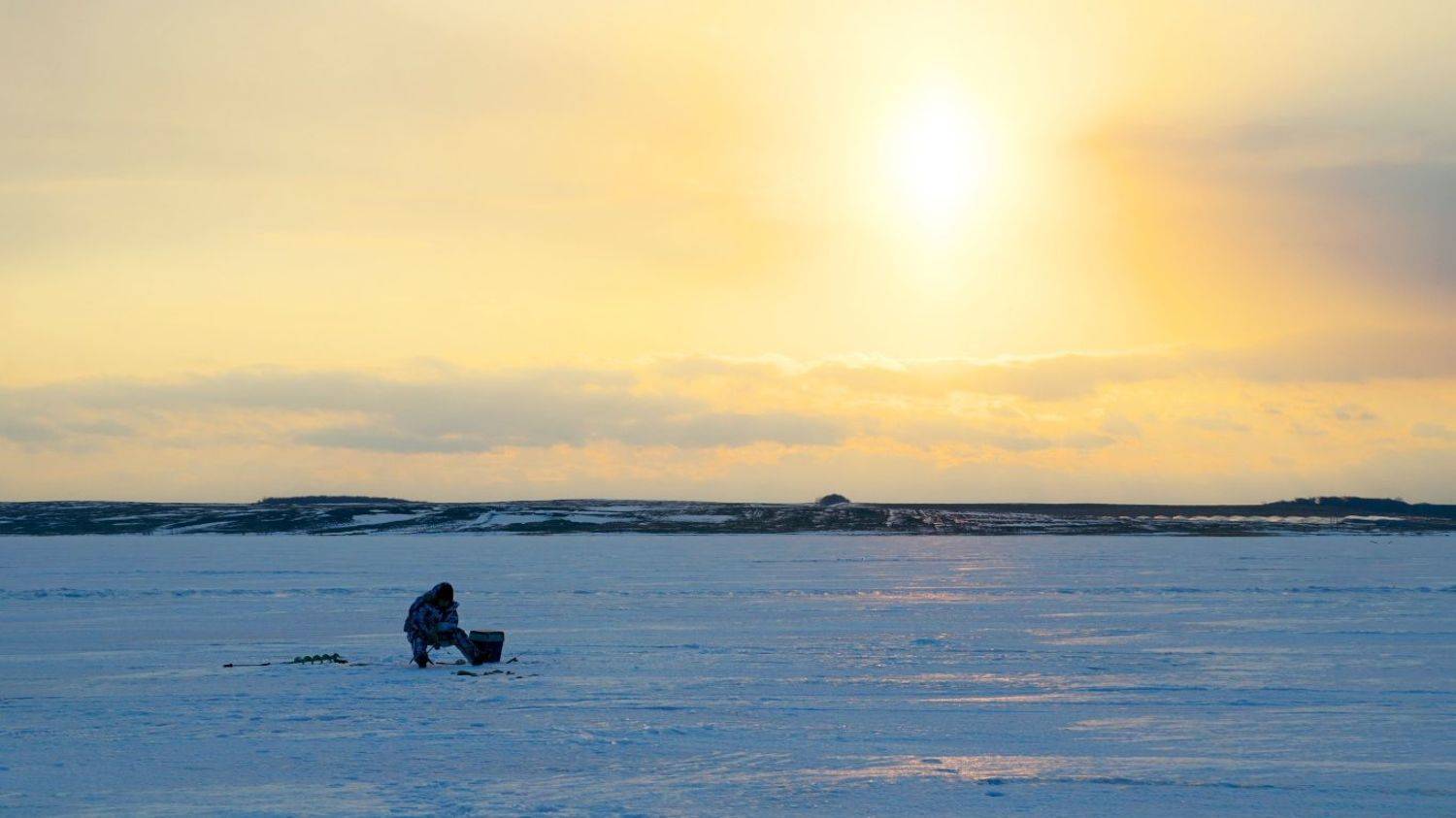 снег небо и зма, Шустиков Дмитрий