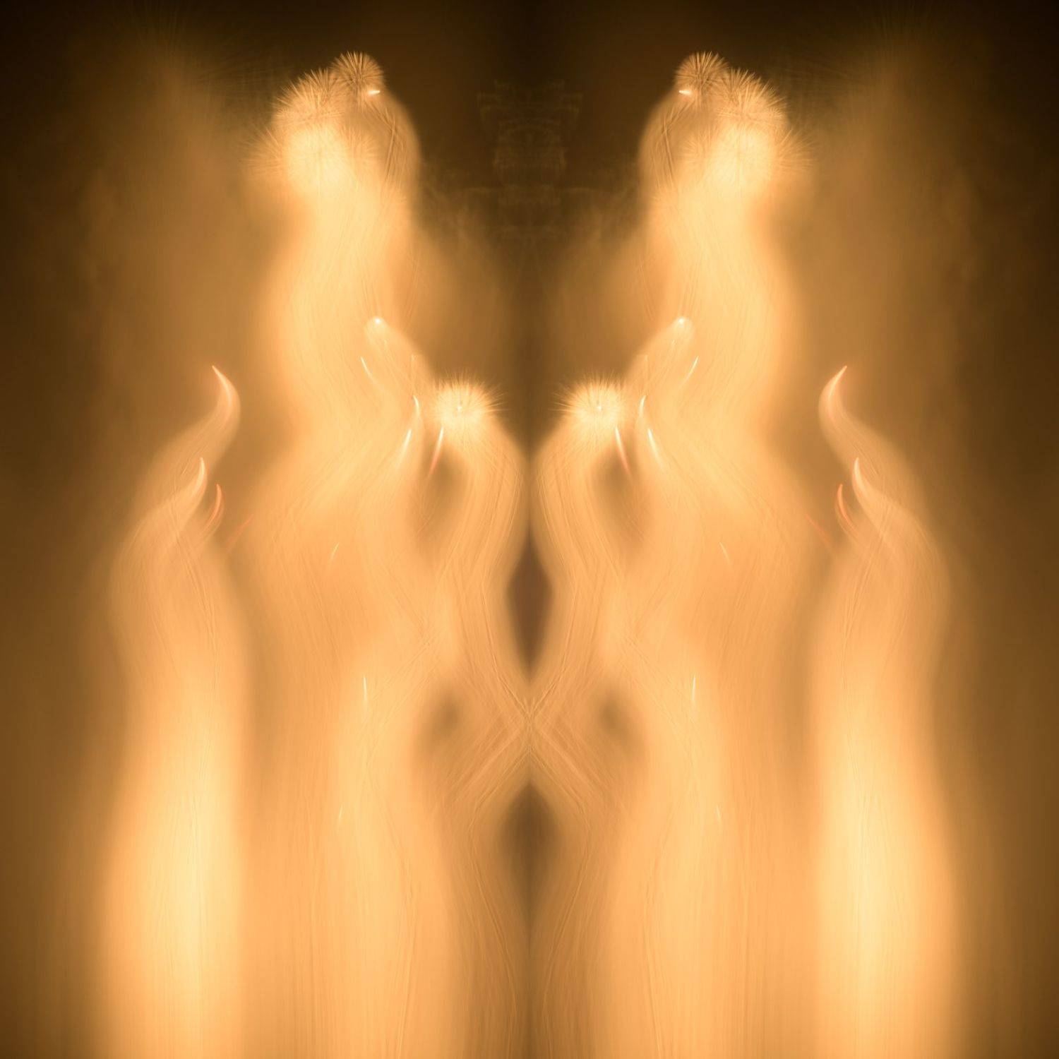 phoenix,, Shota.Nagase