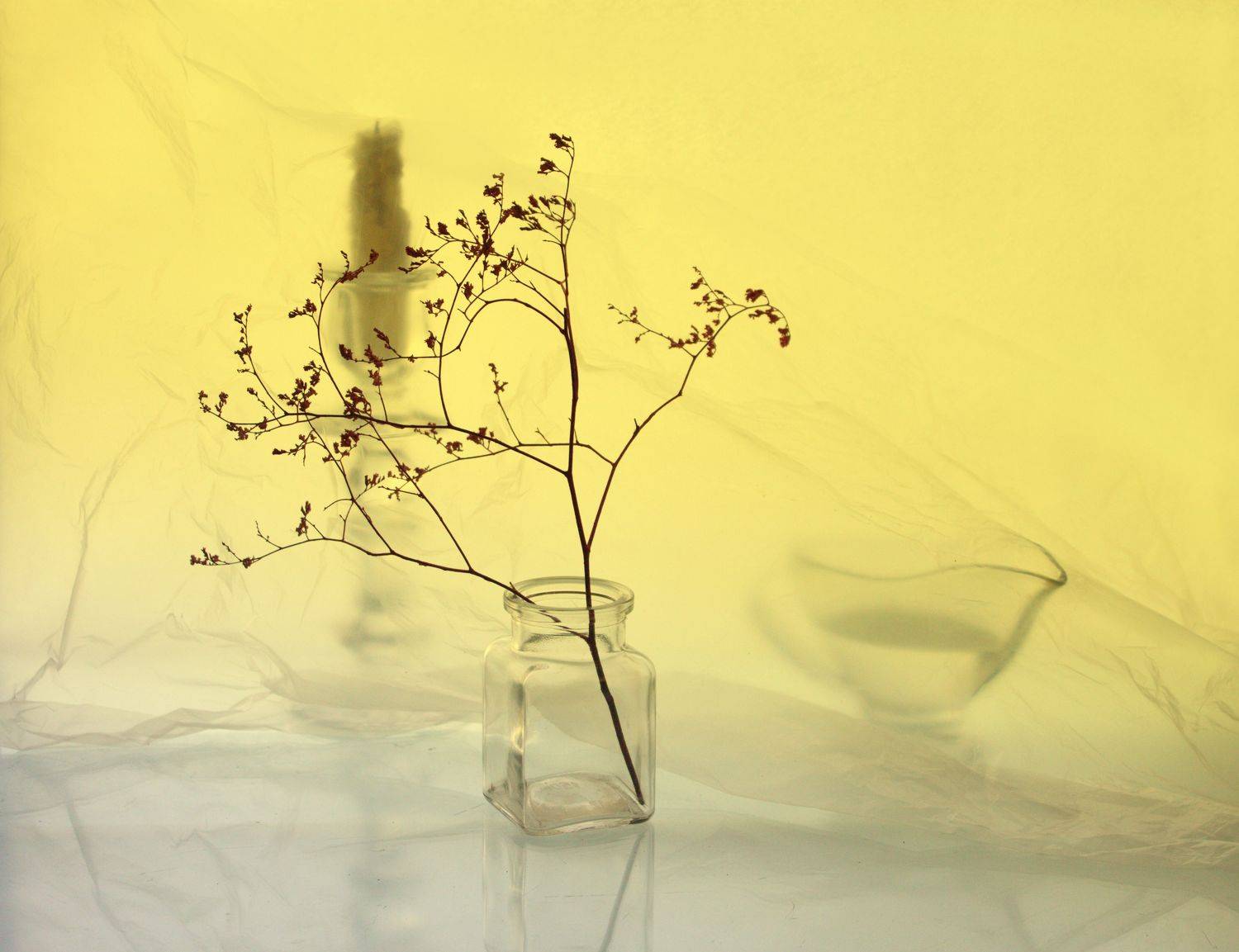 , Хохлова Наталья