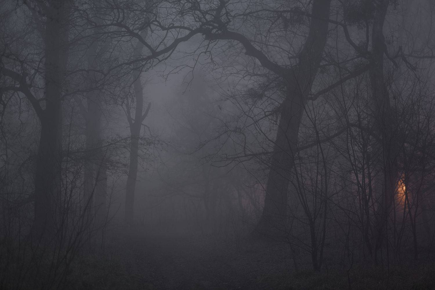 зима туман лес ночь, Александр Жарников