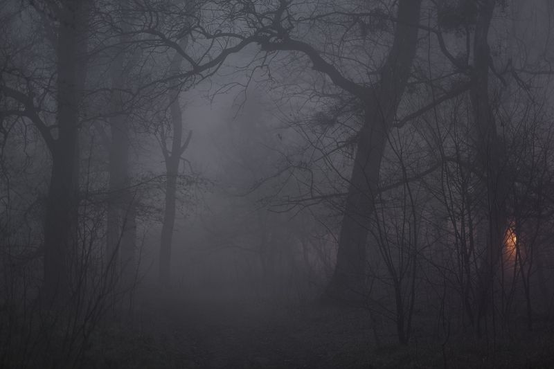 Ночной туман фото превью