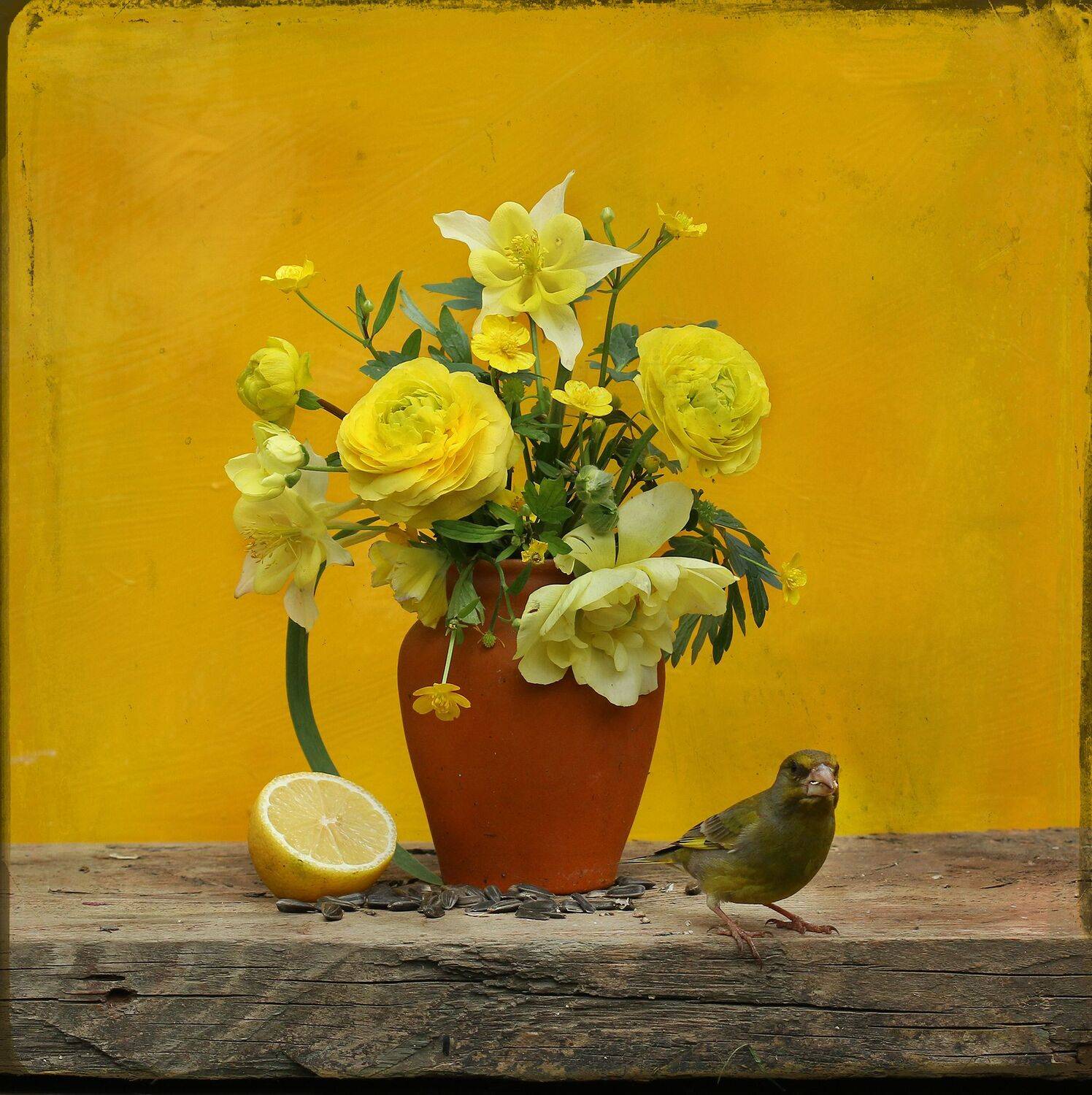 зеленушка, Хромушин Олег