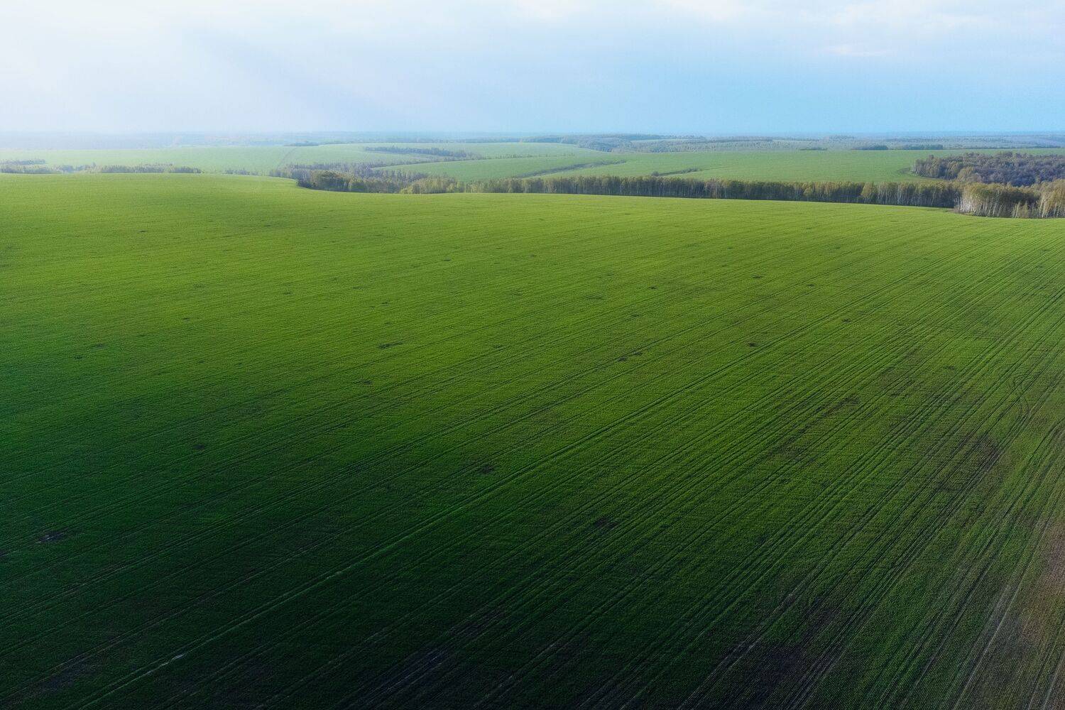 природа, поля, пейзаж, ввесна, Тульская обалсть, Мартыненко Дмитрий