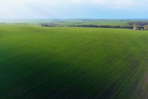 Весенние, сочные поля в Тульской области.