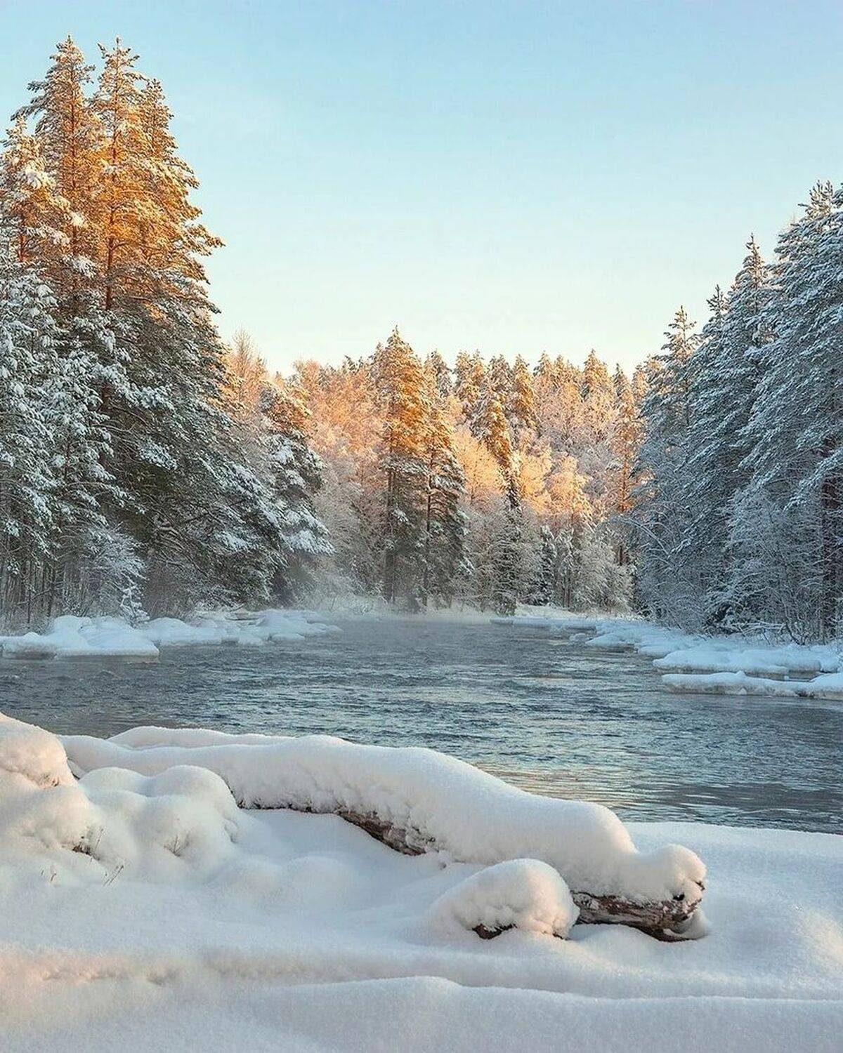 , Петр Косых