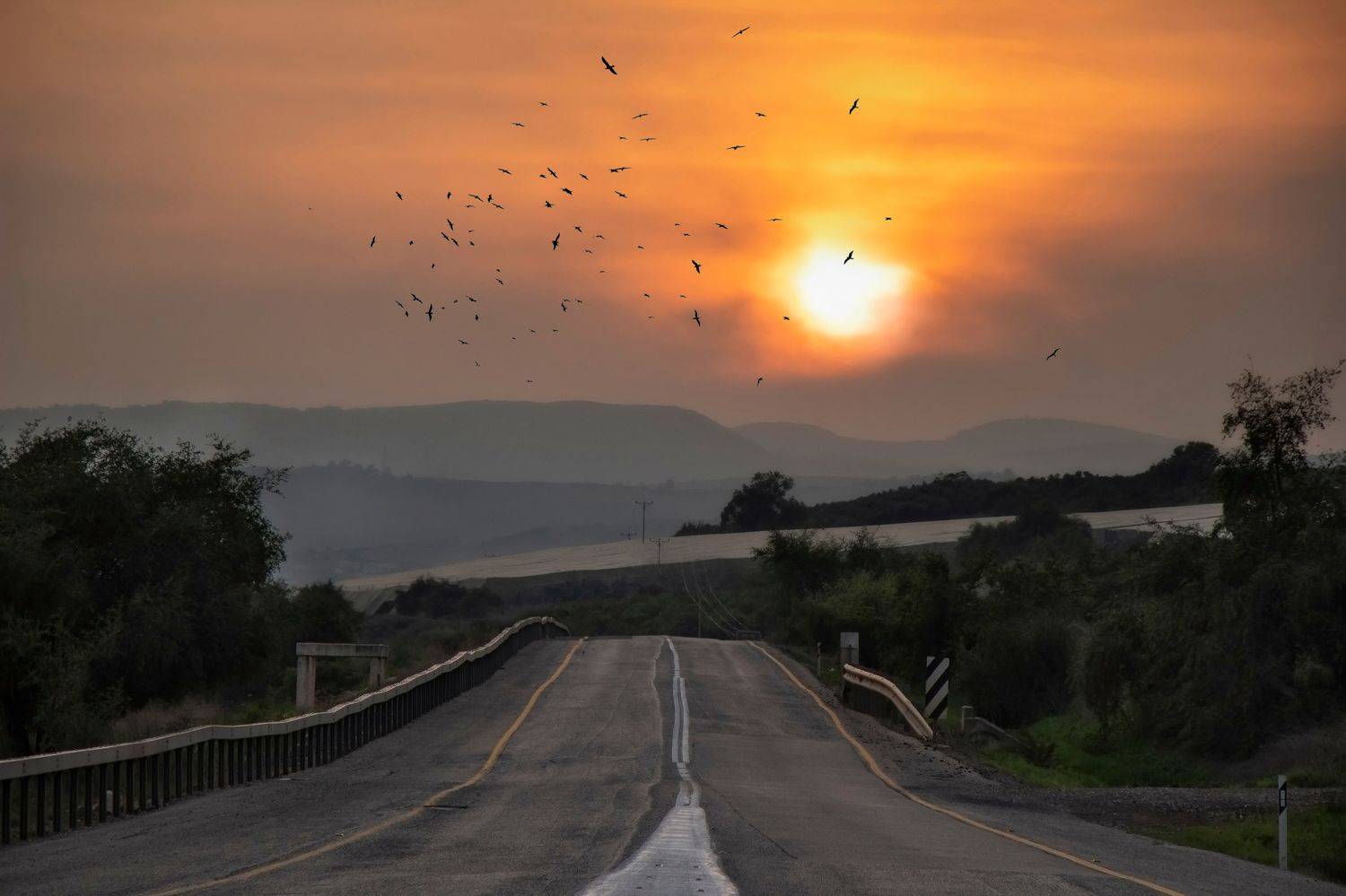 , Вадим Городницкий