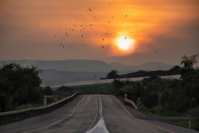 Как тревожен этот путь... фото превью