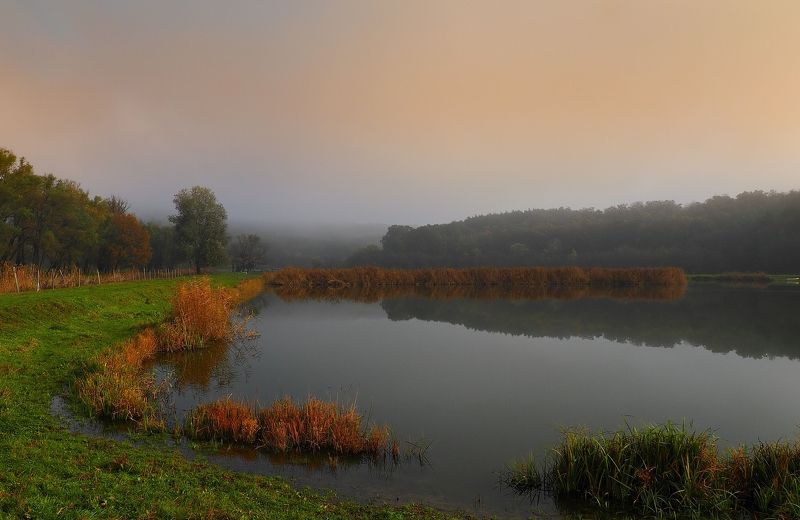 Morning фото превью