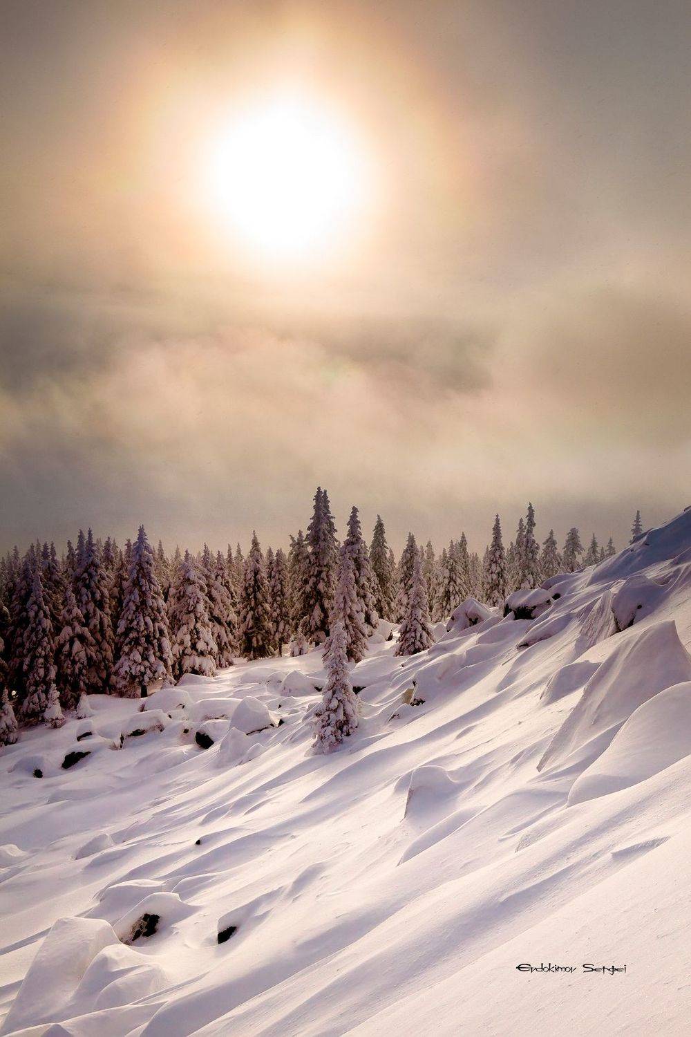 , Евдокимов Сергей