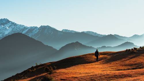 nature is calling.....