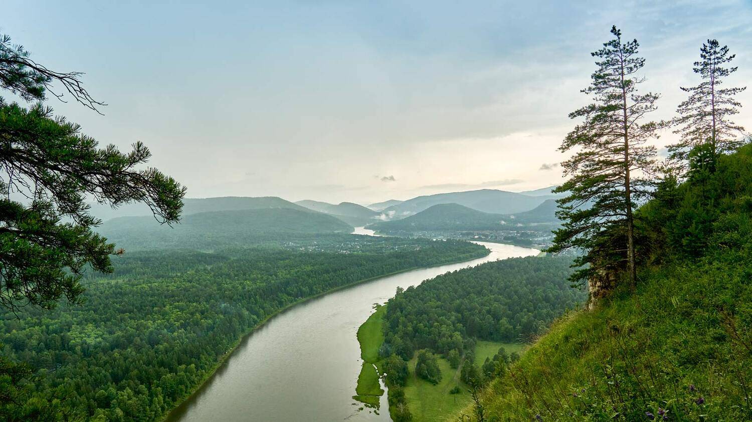 , Сергей Низовцев